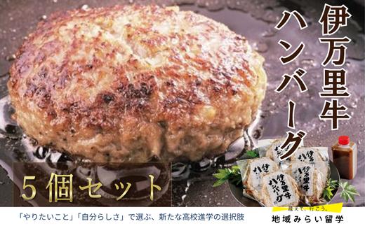 
            伊万里牛ハンバーグ5個セット
          