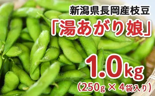 75E-20新潟県長岡産枝豆1.0kg【湯あがり娘250g×4袋入り】