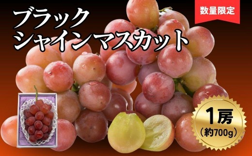 
                  ブラックシャインマスカット1房（700ｇ）
                