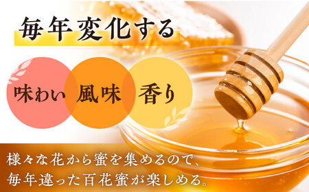 【コクと味わい深い甘み】日本蜜蜂 百花 はちみつ 300g /永尾 忠則 [UAS009] ハチミツ はちみつ 蜂蜜 国産 純粋 百花蜜 日本みつばち ハニー