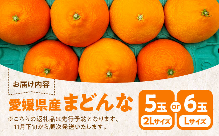 【先行予約】【11月下旬から順次発送】愛媛県産 峯田農園のとろける宝石柑橘「まどんな」2Lサイズ5玉又はLサイズ6玉　愛媛県大洲市/峯田農園 [AGBT007]オレンジ フルーツ みかん ミカン 果物