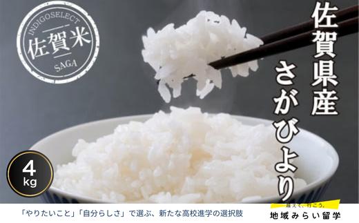 
                  佐賀県産さがびより4kg
                