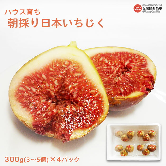 【ふるさと納税】※数量限定※予約受付＜ハウス育ち朝採り日本いちじく約300g(3〜5個)×4パック＞※2025年7月下旬から10月上旬迄に順次出荷します。 無花果 イチジク 蓬莱柿 茨木農園 果物 フルーツ 愛媛県 西条市 【冷蔵】
