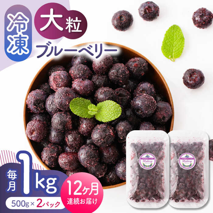 【ふるさと納税】【先行予約】【12回定期便】大粒 冷凍ブルーベリー 約1000g（約500g×2pc） 【すみれファーム】[ZEP012]