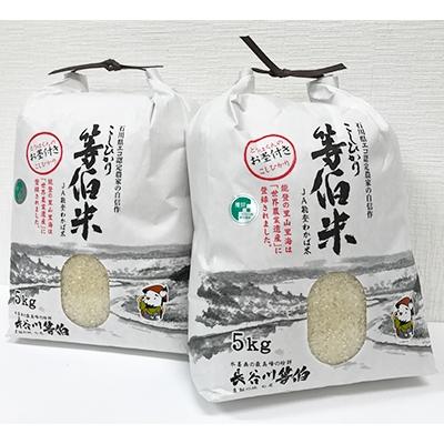 ふるさと納税 七尾市 【令和7年産】等伯米コシヒカリ10kg (5kg×2袋)