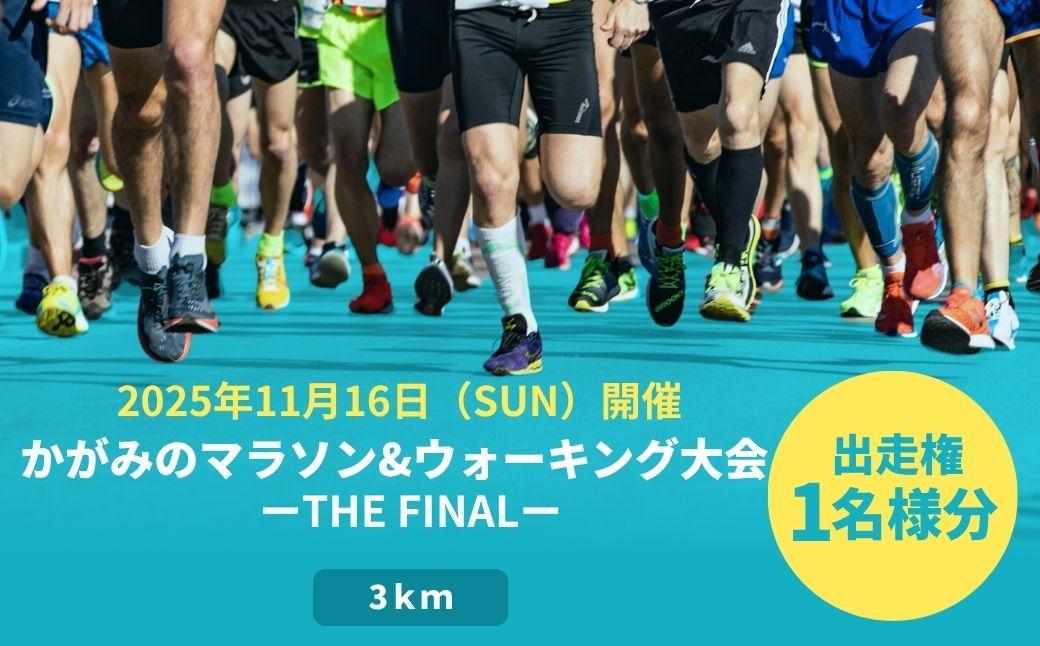 2025年 かがみのマラソン＆ウォーキング大会-THE FINAL-［3kmの部 出走権（1名）］【045-a003】