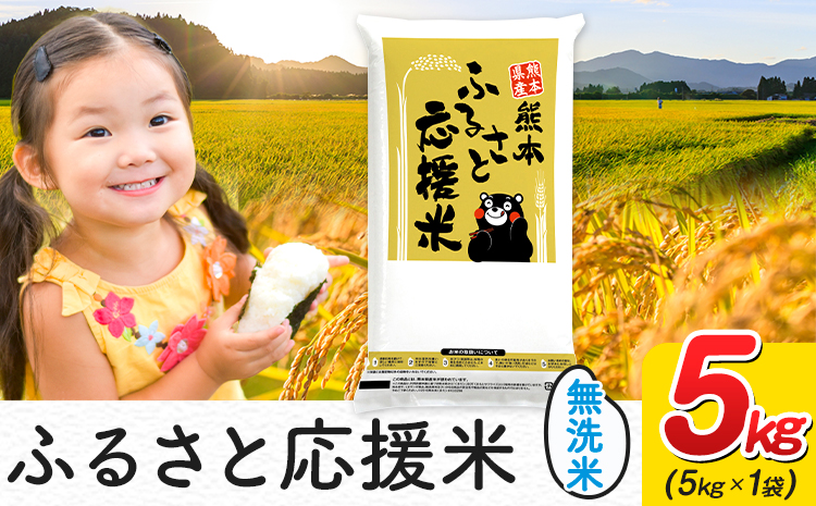 米 無洗米 家庭用 熊本 ふるさと応援 米 5kg《7-14日以内に出荷予定(土日祝除く)》熊本県産 白米 精米 山江村 ブレンド米 国産 洗わず おうちご飯 返礼品 発送 配送 SDGs