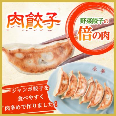 ふるさと納税 佐野市 【佐野餃子(中)肉餃子24個4人前】×2袋と【佐野餃子(中)野菜餃子24個4人前】×2袋 |  | 01
