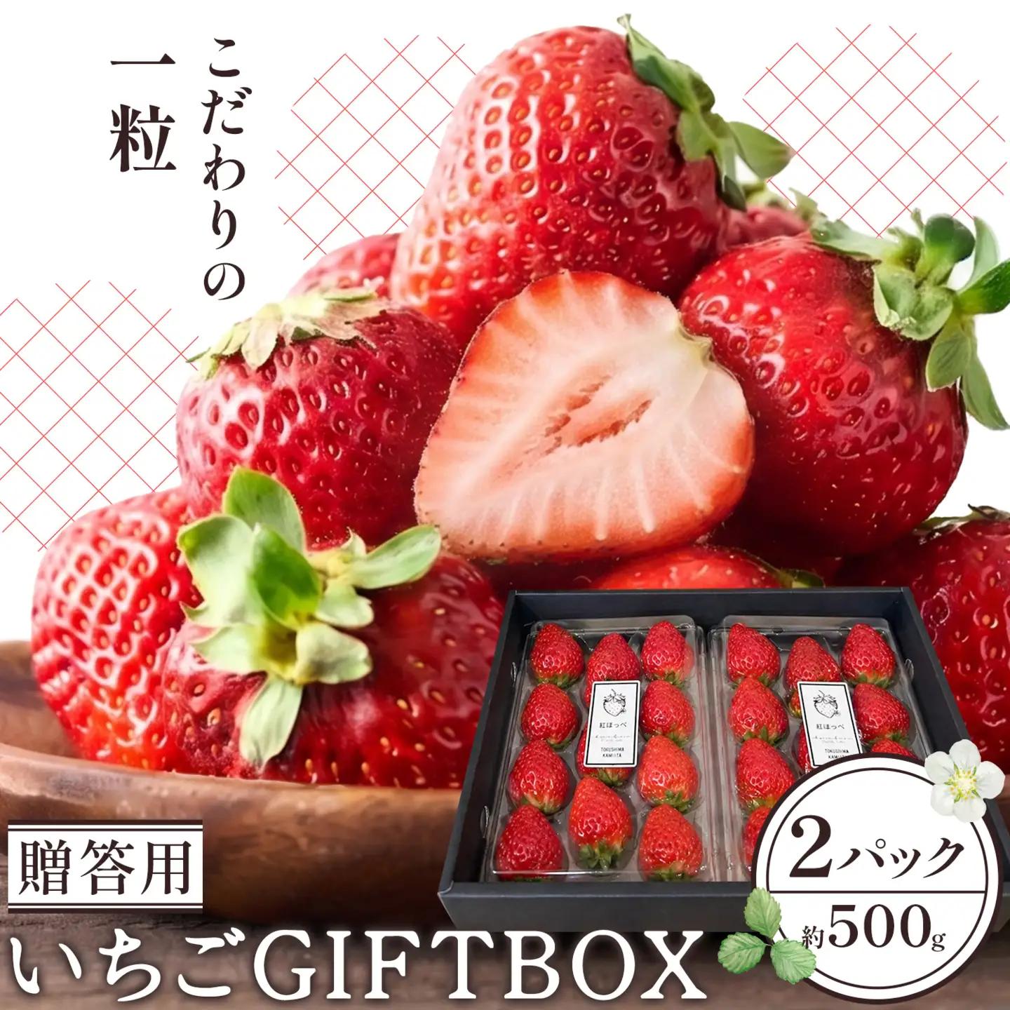 いちご 苺 贈答 ギフト ボックス 2パック 約500g 