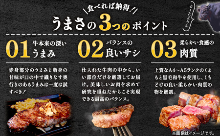 【A4～A5】くまもと黒毛和牛 サーロインステーキ 500g《30日以内に出荷予定(土日祝除く)》 牛肉 くまもと黒毛和牛 黒毛和牛 冷凍庫 サーロイン ステーキ st-p