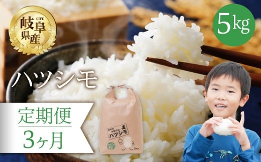 【 3回 定期便 】 ハツシモ 5kg × 3か月 米 こめ ごはん 白米 岐阜県産 本巣市 お米 精米 おにぎり 弁当 さっぱり 旨味 甘い 和食 寿司 岐阜県産 ヤマダライス