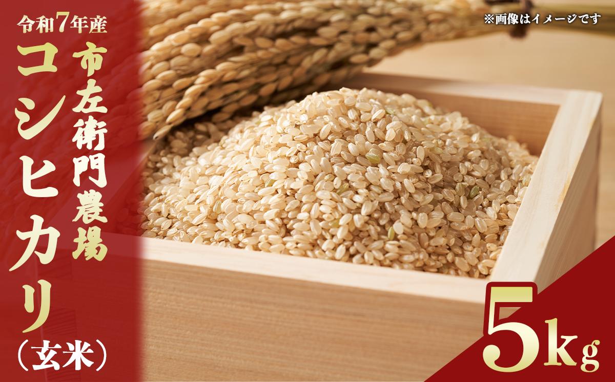
                  令和7年産 市左衛門農場コシヒカリ5kg (玄米) スピード発送【 米 こめ こしひかり コシヒカリ ご飯 玄米 5kg 令和7年産 茨城県 つくば市 】
                