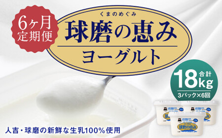 【6ヶ月定期便】球磨の恵み ヨーグルト 加糖 1kg×3パック×6 合計18kg