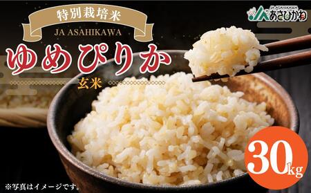 特別栽培米 ゆめぴりか 玄米 30kg 令和6年産  | ゆめぴりか ゆめぴりか ゆめぴりか ゆめぴりか ゆめぴりか _00236