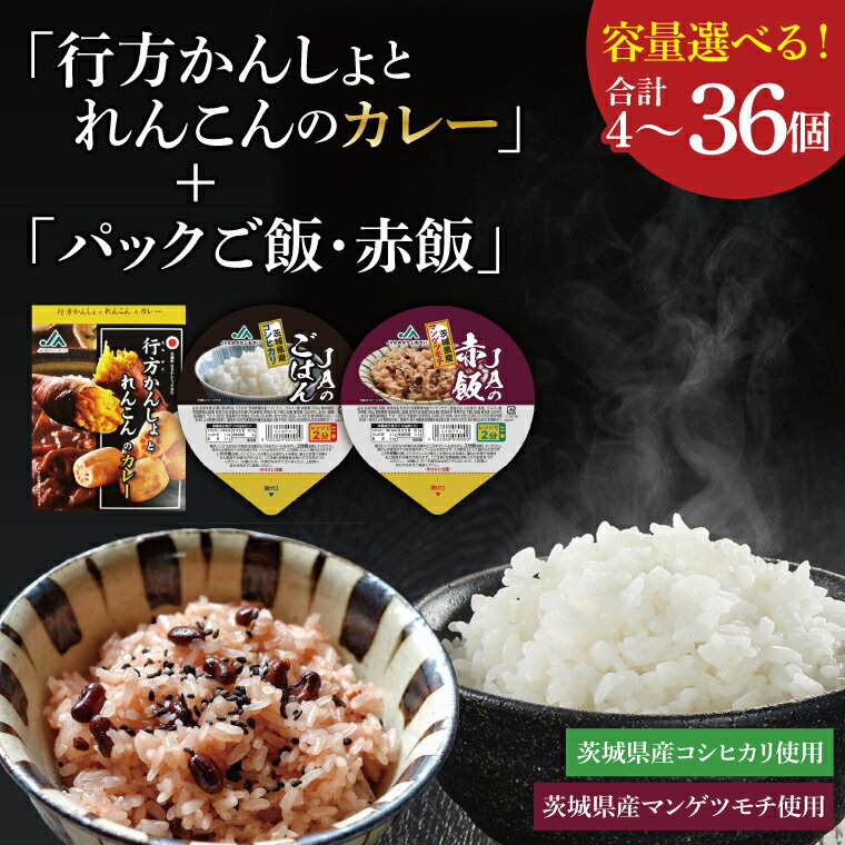 【ふるさと納税】【選べる】～GI登録「さつまいも」使用～「行方かんしょとれんこんのカレー」＆「パックご飯」｜カレー レトルト レトルトカレー パックご飯 ごはん レンジ コシヒカリ 非常食 ご当地 ご当地カレー 人気 オススメ 特産品 地元特産品 茨城県 行方市(AE-145)