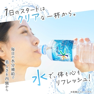 【毎月定期便】【6か月お届け】「おいしい水」 天然水 富士山 600ml【24本入】アサヒ飲料全6回【4053320】