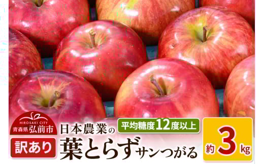 りんご 【先行受付】平均糖度12度以上！ 葉とらずサンつがる 約3kg 訳あり