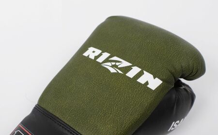 RIZINキック用グローブ | スポーツ 格闘技用品 公式グローブ