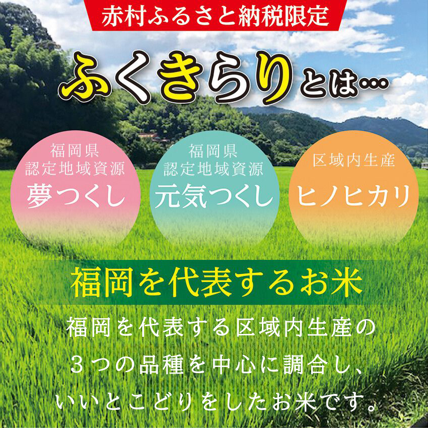 3X3 訳あり 福岡県 ふくきらり 15kg (5kg×3袋)