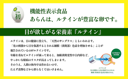 光の刺激から目を守る　ルテイン含有卵　機能性表示食品「あらん」 栄養 健康 見える 改善 色鮮やか 吸収 サプリメント くせがない 生鮮食品 ぼやけて見える 