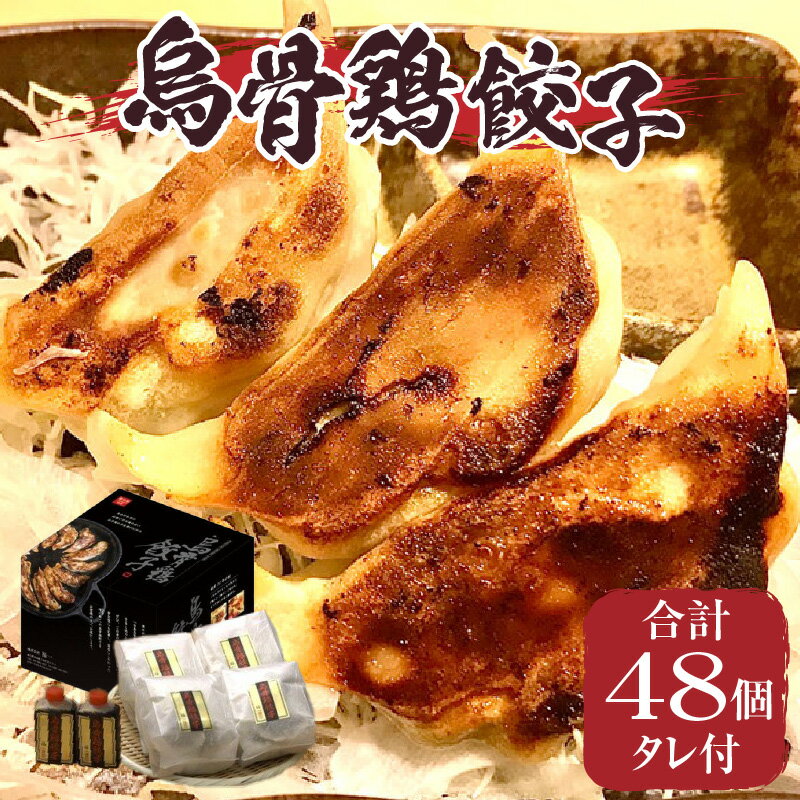 【ふるさと納税】063　｢福一｣烏骨鶏餃子48個（タレ付）
