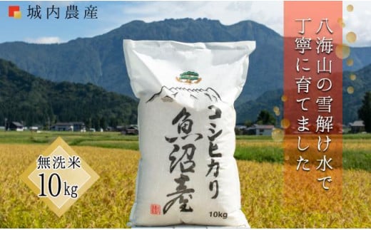 【令和6年産新米予約】南魚沼産コシヒカリ 無洗米１０ｋｇ 【５割減農薬栽培米】 城内農産