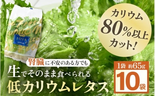 【機能性×美味しさ】低カリウム水耕レタス JOIA（ジョイア） 約65g×10袋（栽培期間中農薬不使用・洗わず食べられる） 【野菜 生野菜 レタス サラダ お弁当 水耕栽培 洗わず食べられる 時短 付け合わせ】[m40-a017]