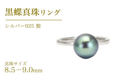 
            黒蝶真珠 8.5-9.0mm シルバー 925製 リング ( ダイヤモンド 無し ) フォーマル 冠婚葬祭 真珠 ペンダント ネックレス ジュエリー ギフト 記念 贈り物 贈答 プレゼント [AH140sa]
          