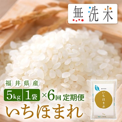 2023年4月発送開始『定期便』≪6か月連続お届け≫無洗米 いちほまれ 5kg 全6回【5086508】