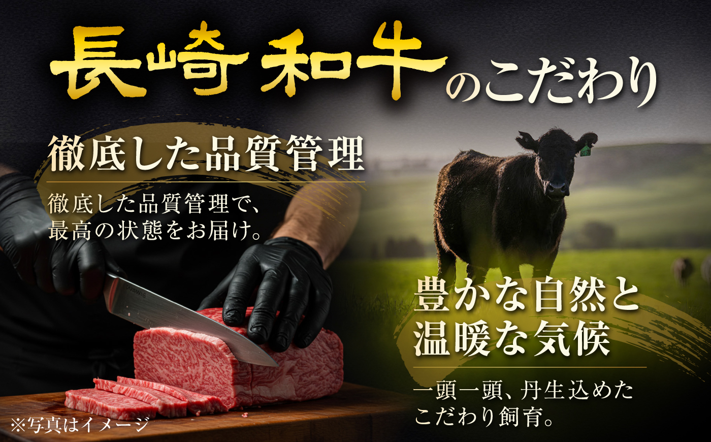 【12回定期便】長崎和牛ヒレステーキ 約100g×2枚/回 / ヒレ定期便 定期便 ステーキ すてーき ヒレ ひれ ヒレ ヒレステーキ ヒレ肉 和牛 牛肉 肉 牛 / 大村市 / まるしん商会 [AC