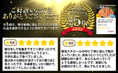 訳あり 鮭 サケ 3kg 冷凍 銀鮭 海鮮 規格外 不揃い 切り身 【北海道･沖縄･離島への配送不可】 ( 大人気鮭 人気鮭 絶品鮭 至高鮭 詰め合わせ鮭 ギフト鮭 ギフト訳アリ鮭 大容量鮭 訳あり大