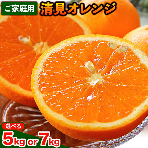 【ふるさと納税】【先行予約】清見オレンジ ご家庭用 選べる 約 5kg 約 7kg 主井農園《2月下旬-3月中旬頃出荷》 和歌山県 日高町 清見 オレンジ 訳あり 家庭用 果物 訳あり オレンジ 訳あり清見オレンジ みかん 柑橘 送料無料