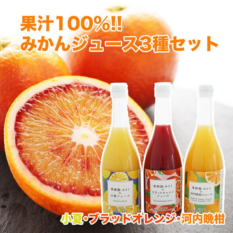 【ふるさと納税】 みかんジュース 3種 セット 果樹園 みどり柑橘 みかん ジュース 小夏 ニューサマーオレンジ ブラッドオレンジ 河内晩柑 果汁 100% 果物 フルーツ 果実 国産 愛媛 愛南 産 ビタミン おいしい 生産者 産地 直送 産直