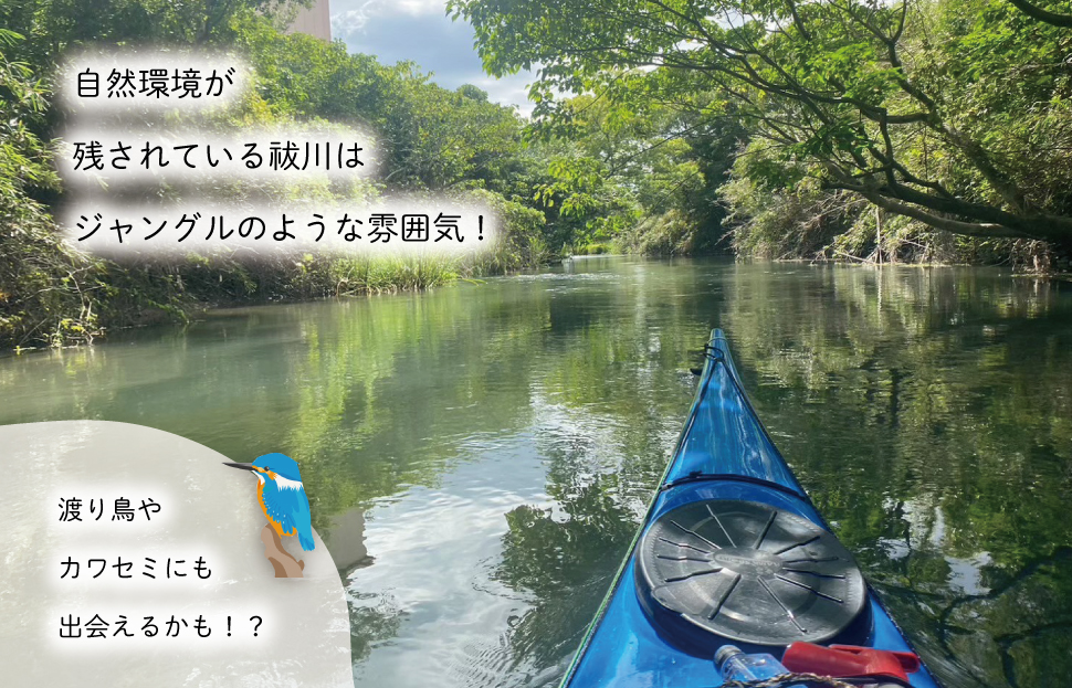 明和町・祓川 ジャングル クルーズ 【カヤック 体験 2時間】 2名様　カヌー ツアー アウトドア レジャー キャンプ スポーツ 観光 旅行 家族 ファミリー アクティビティ 自然 川