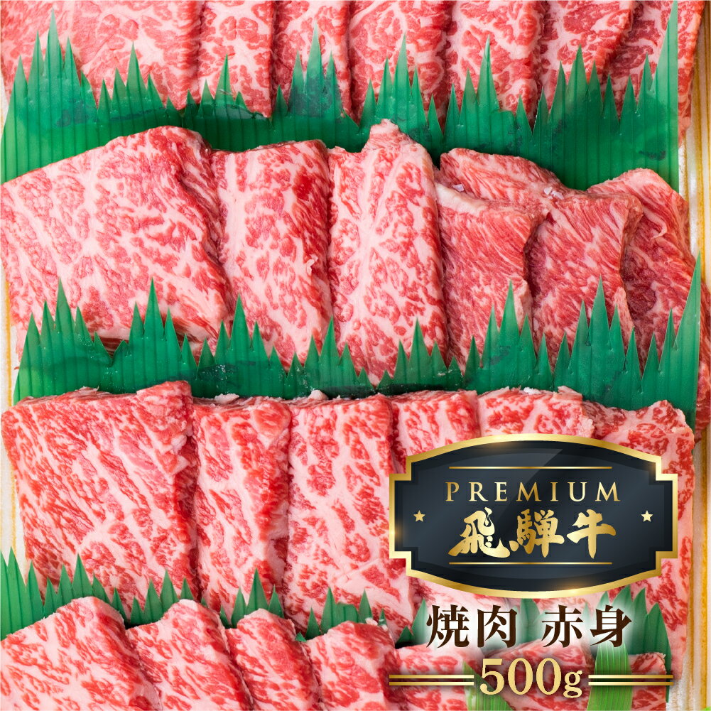 【ふるさと納税】＜8月から寄附額改定＞最飛び牛 飛騨牛 赤身 焼肉 500g 5等級 A5 うでorもも 牛肉 和牛 ブランド牛 プレミアム ごちそう 贅沢飛騨牛 肉の沖村[Q1694]