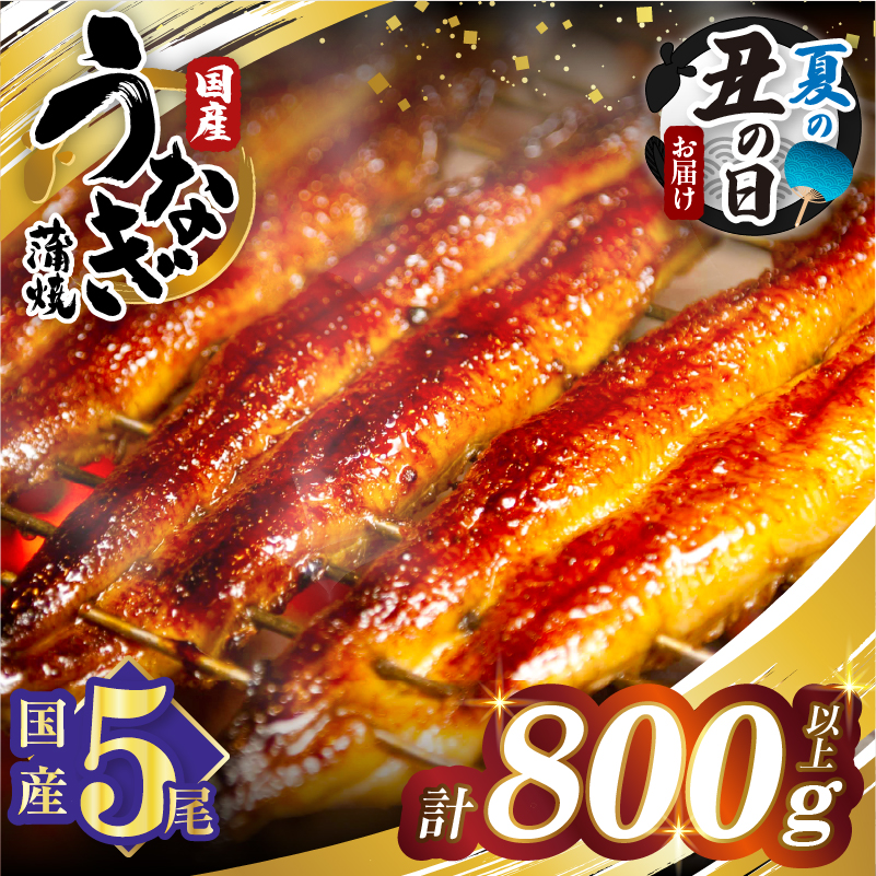 【夏の丑の日までにお届け!!】うなぎ蒲焼5尾(さんしょう・たれ付き)計800g以上_T026-0036-US2【鰻 魚 魚介 加工品 国産 人気 ギフト 食品 おかず 惣菜 高級 お土産 贈り物 送料無料 プレゼント】