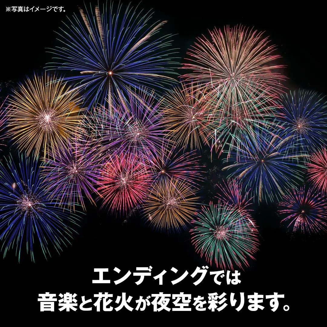 【一般席チケット・数量限定】つくばみらい市市制施行20周年記念 MIRAI Music Fes 2026 1名 (駐車券付） 入場チケット 音楽フェス 花火鑑賞