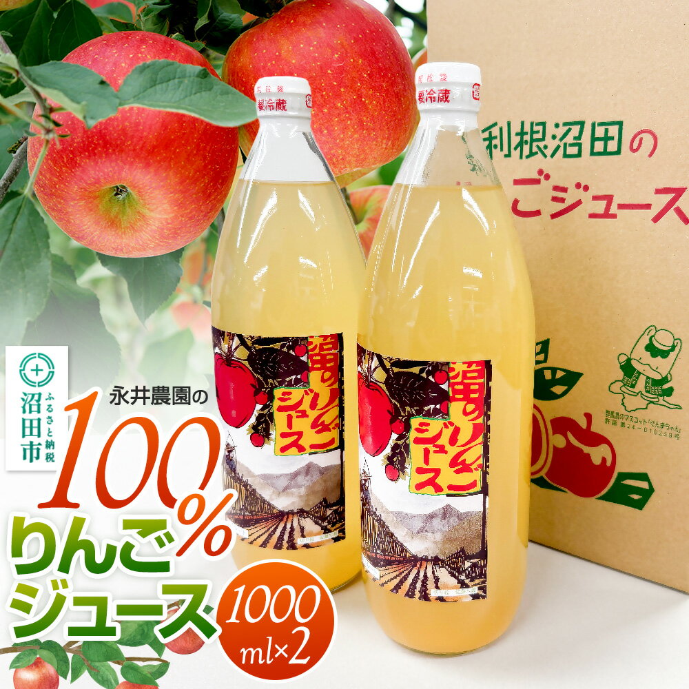【ふるさと納税】100％リンゴジュース 1000ml×2本 永井農園
