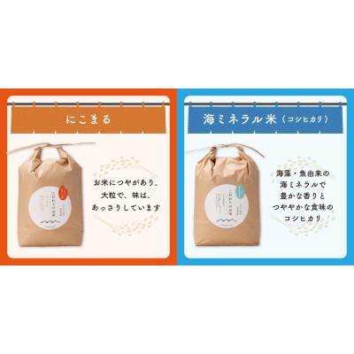 ふるさと納税 能美市 【毎月定期便】北本農場の4種こだわりのお米食べ比べ白米10kg×4か月連続全4回 |  | 01