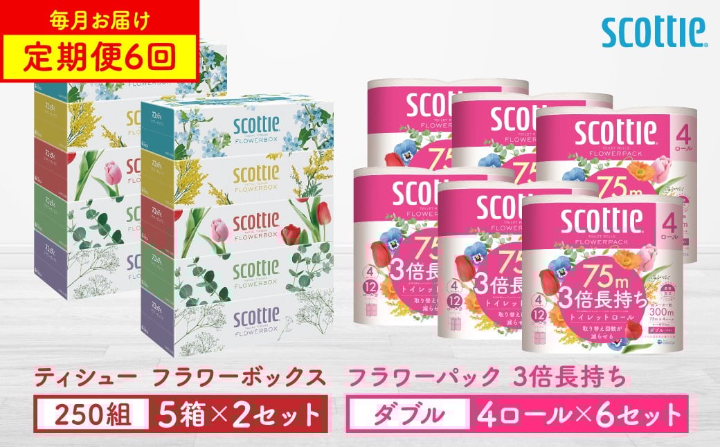 
            【定期便6回】【毎月お届け】【スコッティ】 ティシュー フラワーボックス 250組（5箱パック×2セット）＋フラワーパック 3倍長持ち（4ロール（ダブル）パック ×6セット） ティッシュ トイレットペーパー 日用品 ストック
          
