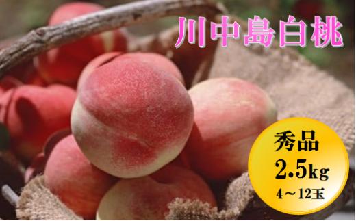 08-05-006　もも(川中島白桃)2.5kg