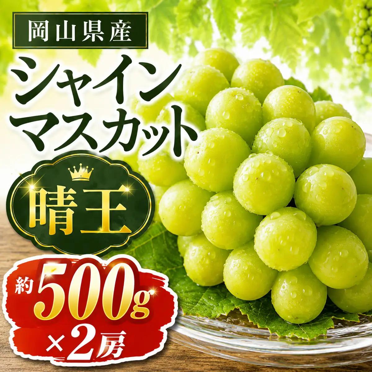 ぶどう 2026年 先行予約 シャインマスカット 晴王 約500g×2房 岡山