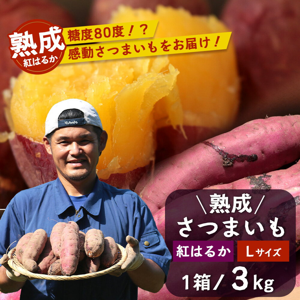 【ふるさと納税】【鹿児島県産】熟成 紅はるか 3kg (1箱 ) Lサイズ 感動さつまいも　FR-531