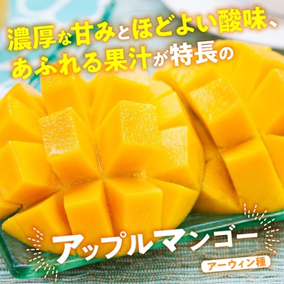 【2026年7月から順次発送・訳あり】燦々マンゴー1.5kg(3～6玉)【配送不可地域：離島】 1.5㎏（3～6玉）