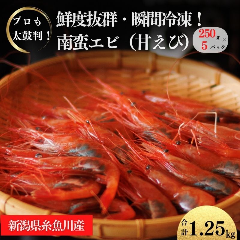 【ふるさと納税】甘エビ 250g×5パック 計1.25kg 日本海直送 瞬間冷凍 プロも太鼓判！ 際立つ甘さと鮮やかさ 新潟県 糸魚川市 伝兵水産 えび 海老 南蛮エビ【 海老 えび エビ アマエビ あまえび 殻付き 有頭 生食 刺身 魚貝類 国産 人気】