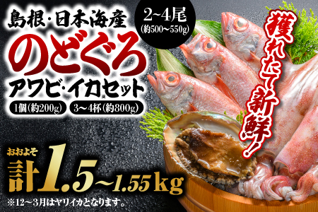 のどぐろ・アワビ・イカ 計約1.5kg～1.55kg 鮮魚セットA｜漁解禁 受付再開 鮮魚 新鮮 魚介類 国産 のどぐろ あわび イカ 剣先イカ 白イカ マイカ 煮つけ 焼き魚 下処理済 BBQ YM-1