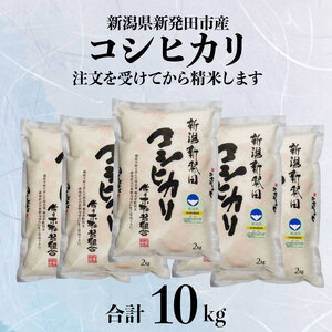 令和6年産 特別栽培米 コシヒカリ 10kg 2kg×5袋 米 白米 ご飯 料理 おにぎり 弁当 新潟県 新潟産 新発田産 コシヒカリ 佐々木耕起組合 2kg 特別栽培米 新潟県 新発田市 新米 非常