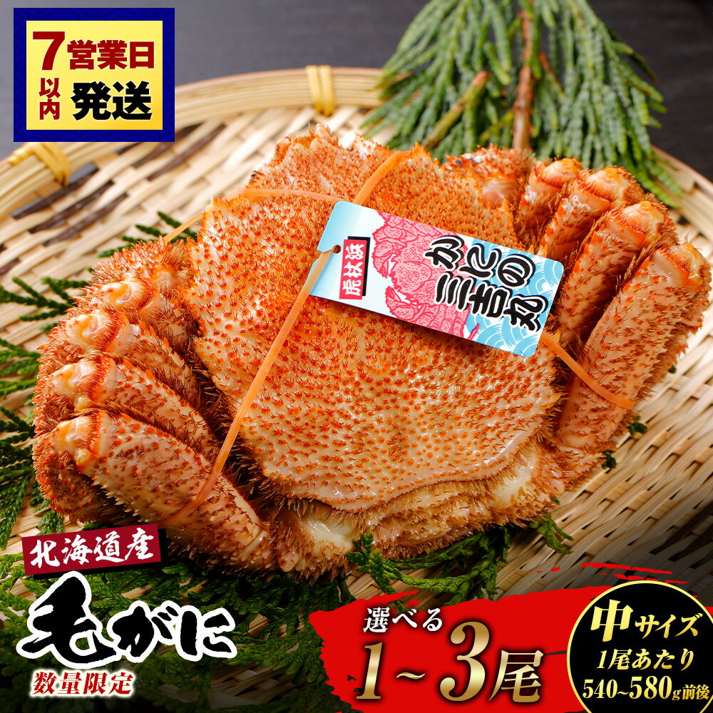 【ふるさと納税】【中サイズ】北海道産 冷凍ボイル毛ガニ 選べる1尾〜3尾 (1尾540g-580g前後) 選べる発送月 蟹 かに カニ 毛ガニ AS183毛がに 毛ガニ 毛蟹 蟹 カニ 北海道ふるさと納税 白老 ふるさと納税 北海道 年末