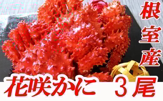 B-70002 【北海道根室産】花咲かに500～650g前後×3尾
