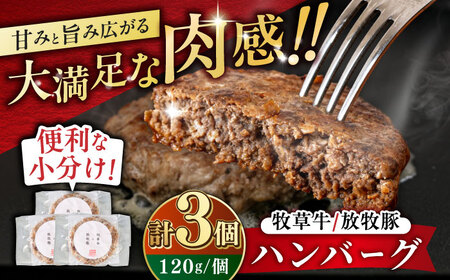 【牧草牛×放牧豚】ハンバーグ 3個 《厚真町》【GOODGOOD株式会社】 ハンバーグ 牛肉 豚肉 小分け 冷凍配送 北海道[AXBP013]